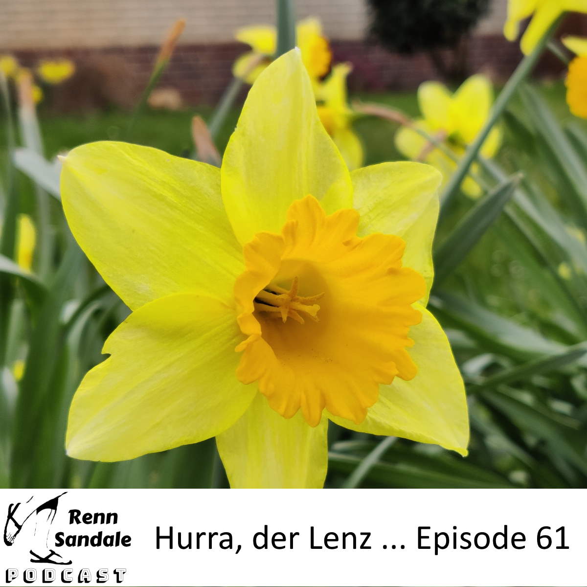 Hurra, der Lenz... RS-Ep061